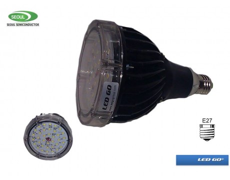 LBI-24 24W LED LAMBA E27 24VAC IP67